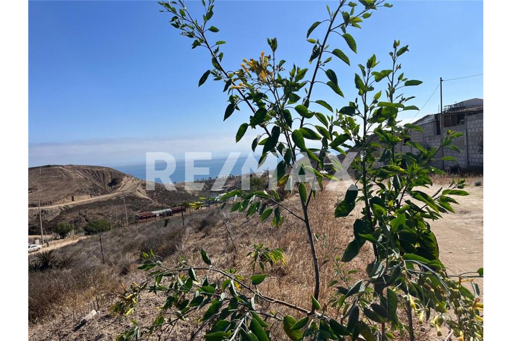 Bostad - Del av land för tilldelning av tomt - Playas De Rosarito, Mexiko - Mexico - 17 - 1001006253-29