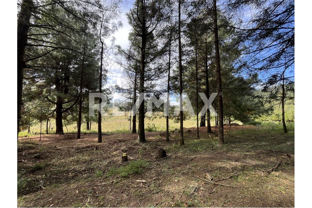 Residential - ਅਲਾਟਮੈਂਟ ਲਈ ਜ਼ਮੀਨ ਦਾ ਟੁਕਡ਼ਾ - Amanalco, Mexico - Mexico - 9 - 1001004100-44