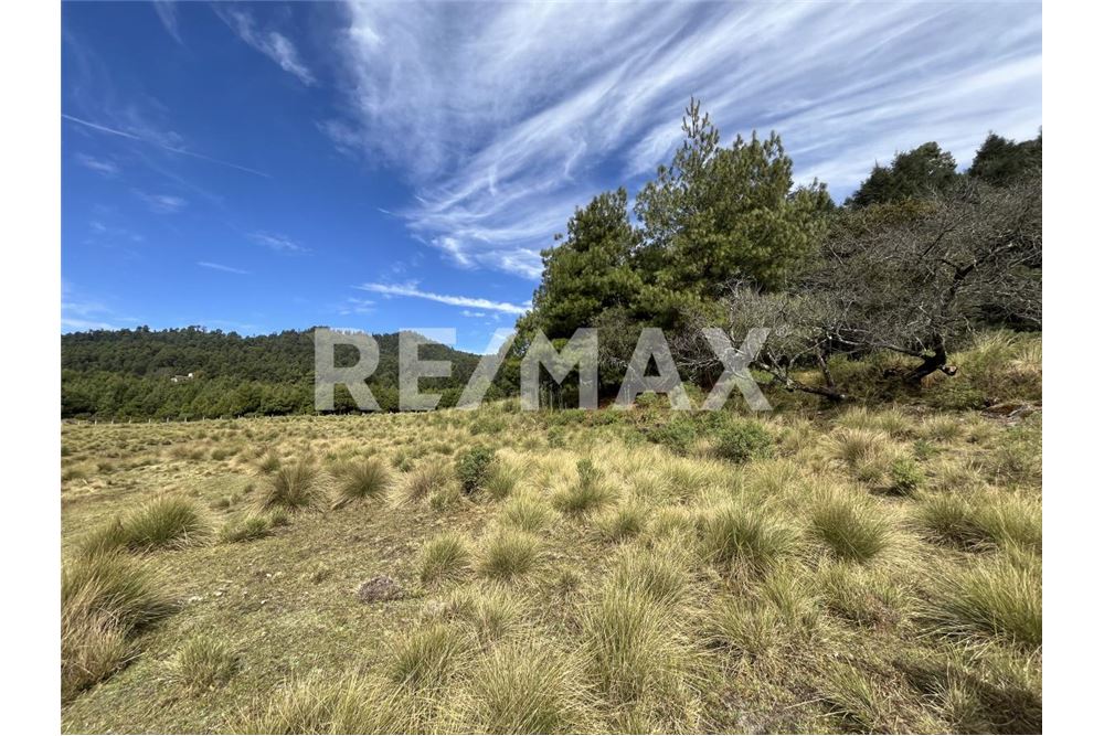 Residential - ਅਲਾਟਮੈਂਟ ਲਈ ਜ਼ਮੀਨ ਦਾ ਟੁਕਡ਼ਾ - Amanalco, Mexico - Mexico - 4 - 1001004100-44