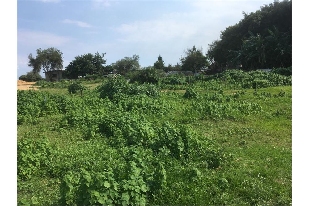 Residential Plot of Land for Investment Cuernavaca, Mexico Mexico