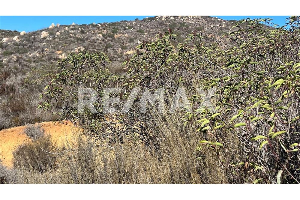 Residenziale - Parte di Terreno per Appezzamento - Ensenada, Messico - Mexico - 5 - 1001006182-102