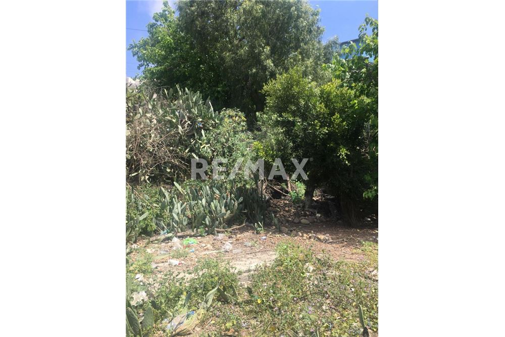 Жилищен - Парцел за инвестиция - Tijuana, Мексико - Mexico - 4 - 1001006289-9