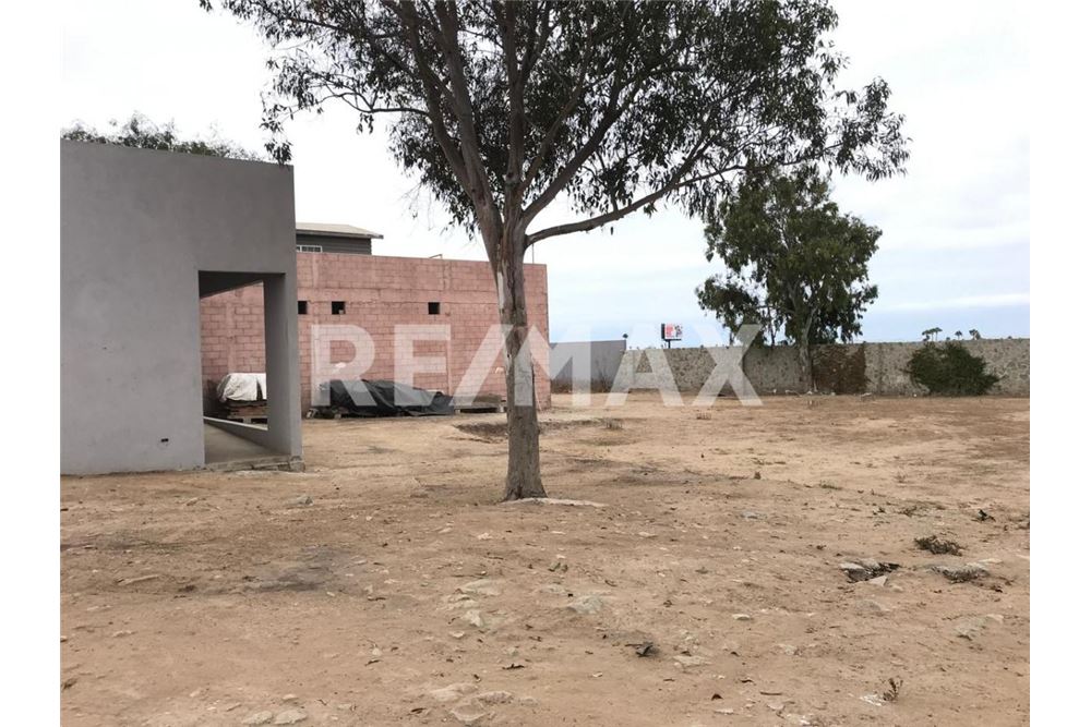 Commercial - Farm - Playas De Rosarito, Mexico - Mexico - 2 - 1001006062-39