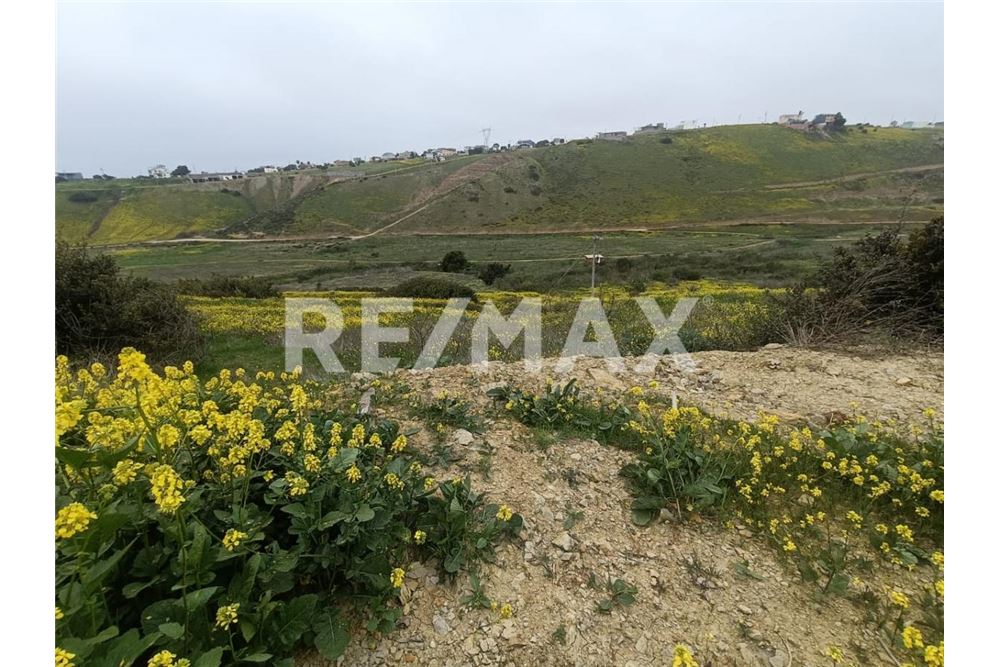 Residential - Plot of Land for Investment - Playas De Rosarito, Mexico - Mexico - 14 - 1001006243-59