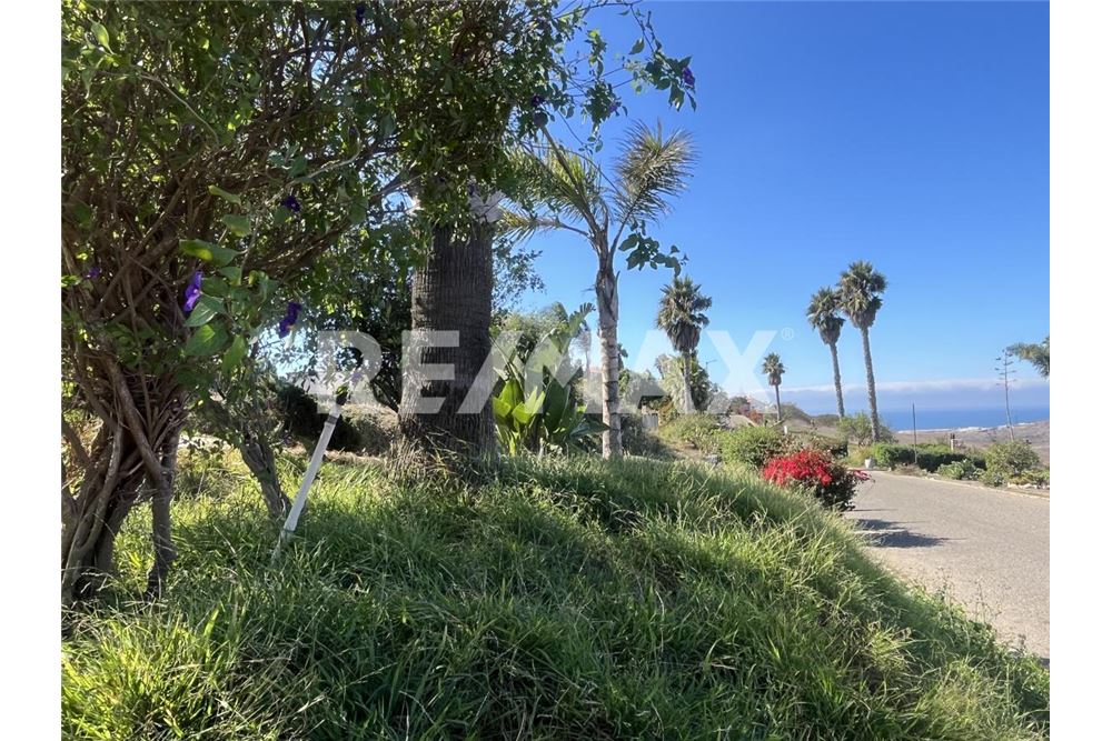 Residential - Plot of Land for Investment - Tijuana, Mexico - Mexico - 15 - 1001006253-34