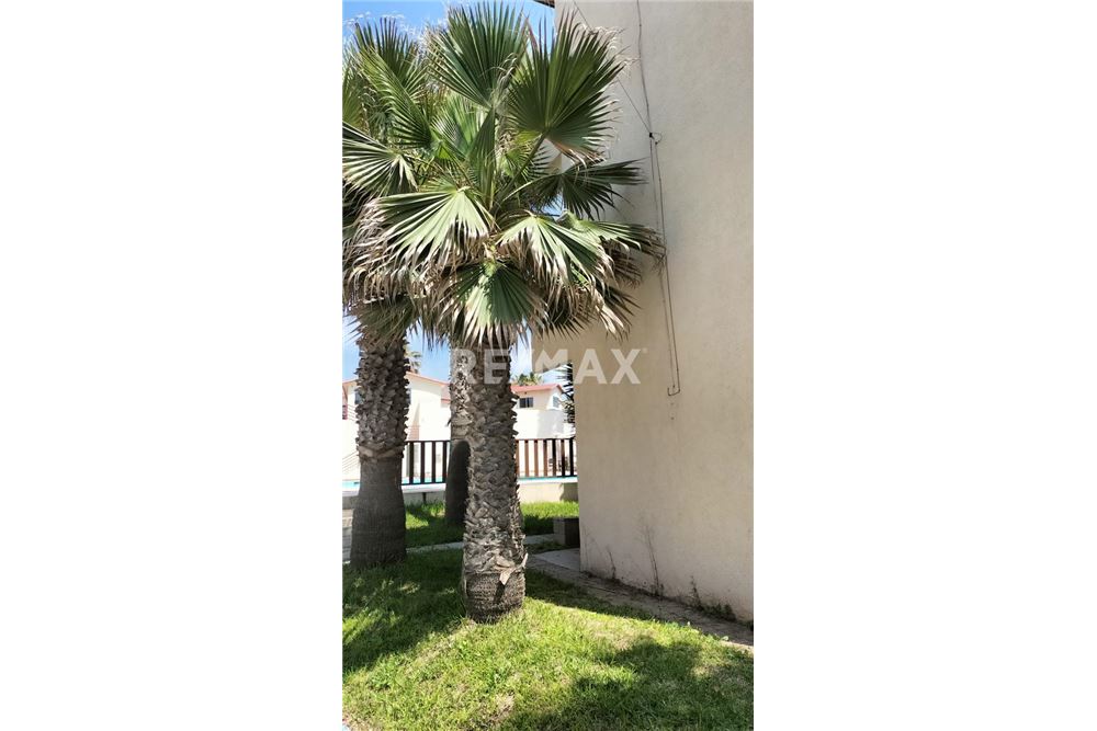 Residential - Apartment with roof - Playas De Rosarito, Mexico - Mexico - 9 - 1001006061-99