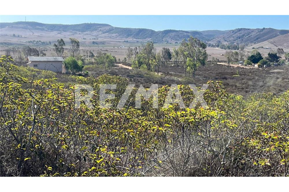 Residenziale - Parte di Terreno per Appezzamento - Ensenada, Messico - Mexico - 8 - 1001006182-102