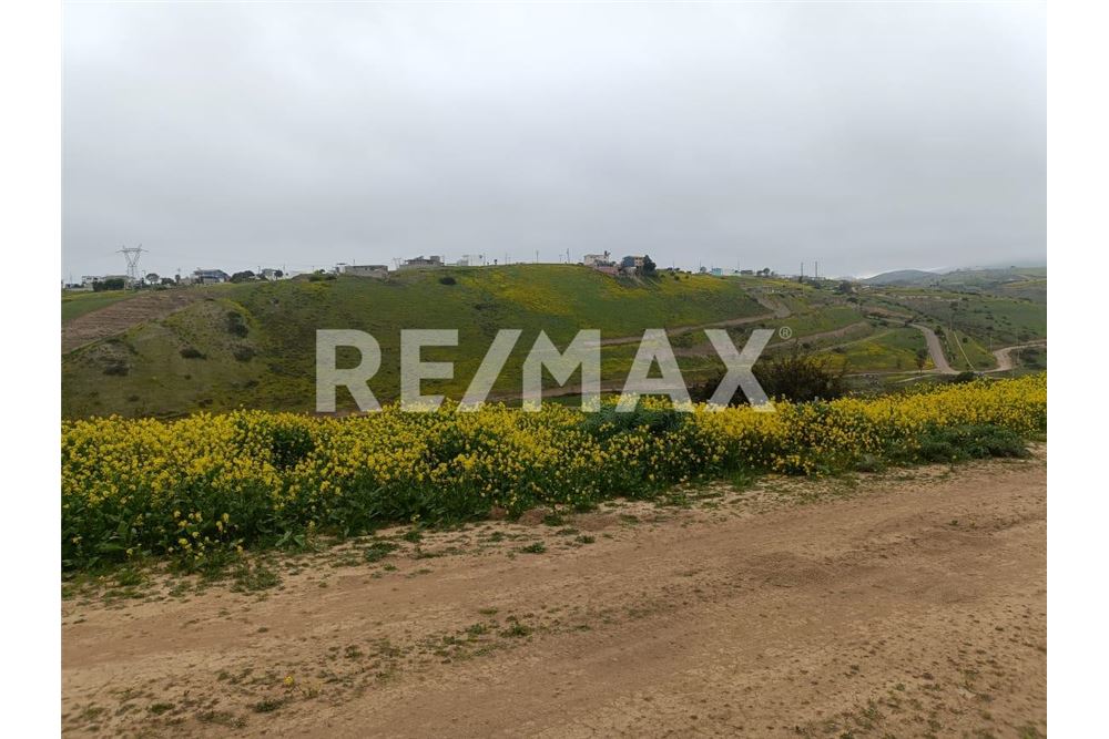 Residential - Plot of Land for Investment - Playas De Rosarito, Mexico - Mexico - 1 - 1001006243-59