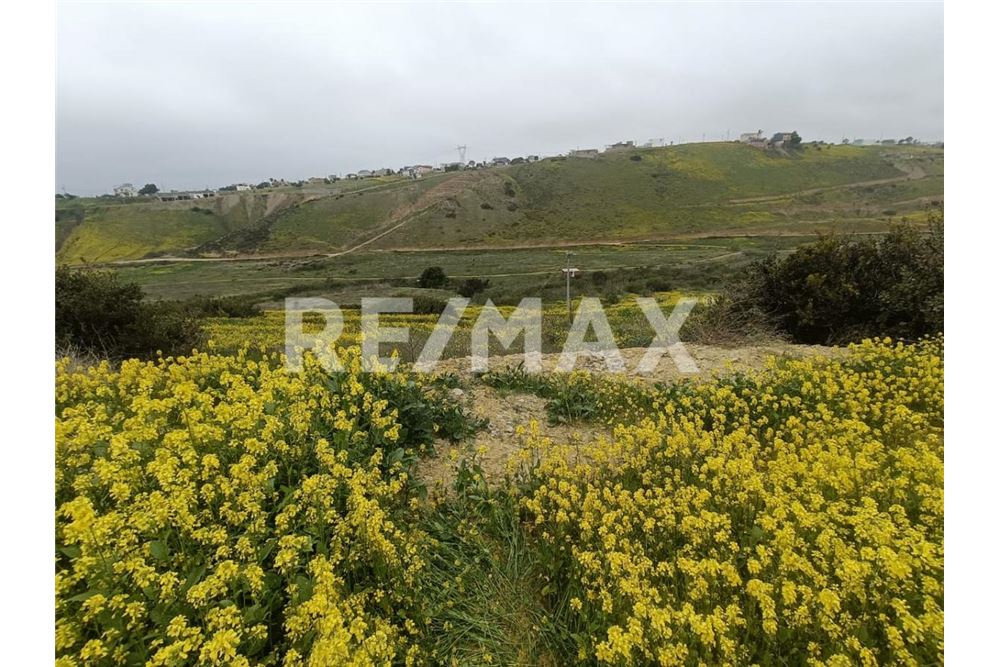 Residential - Plot of Land for Investment - Playas De Rosarito, Mexico - Mexico - 13 - 1001006243-59