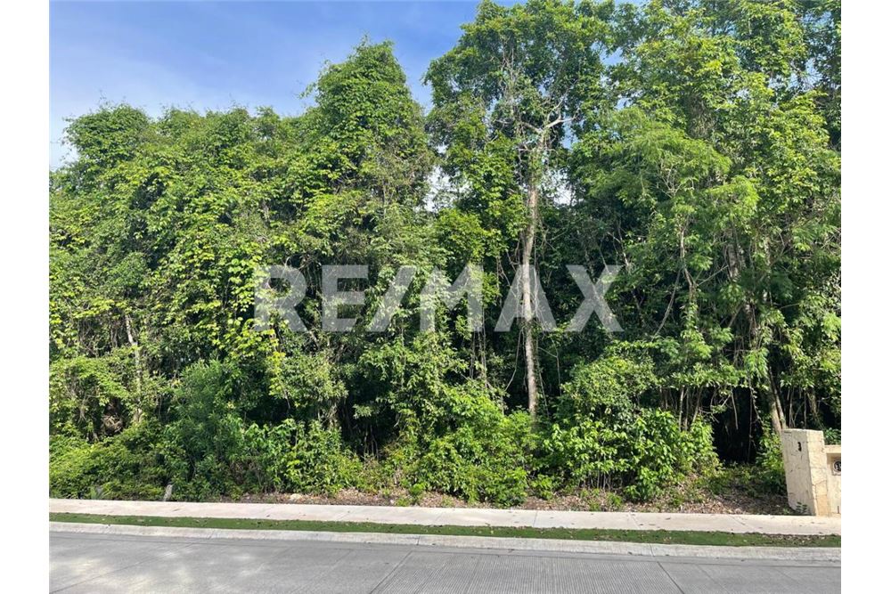 Residential - Plot of Land for Investment - Tulum, Mexico - Mexico - 2 - 1001040022-180