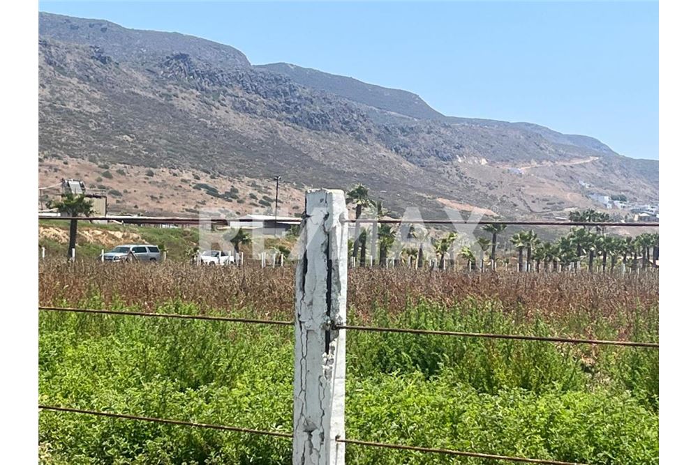 Commercieel - Grond - Playas De Rosarito, Mexiko - Mexico - 18 - 1001006182-85
