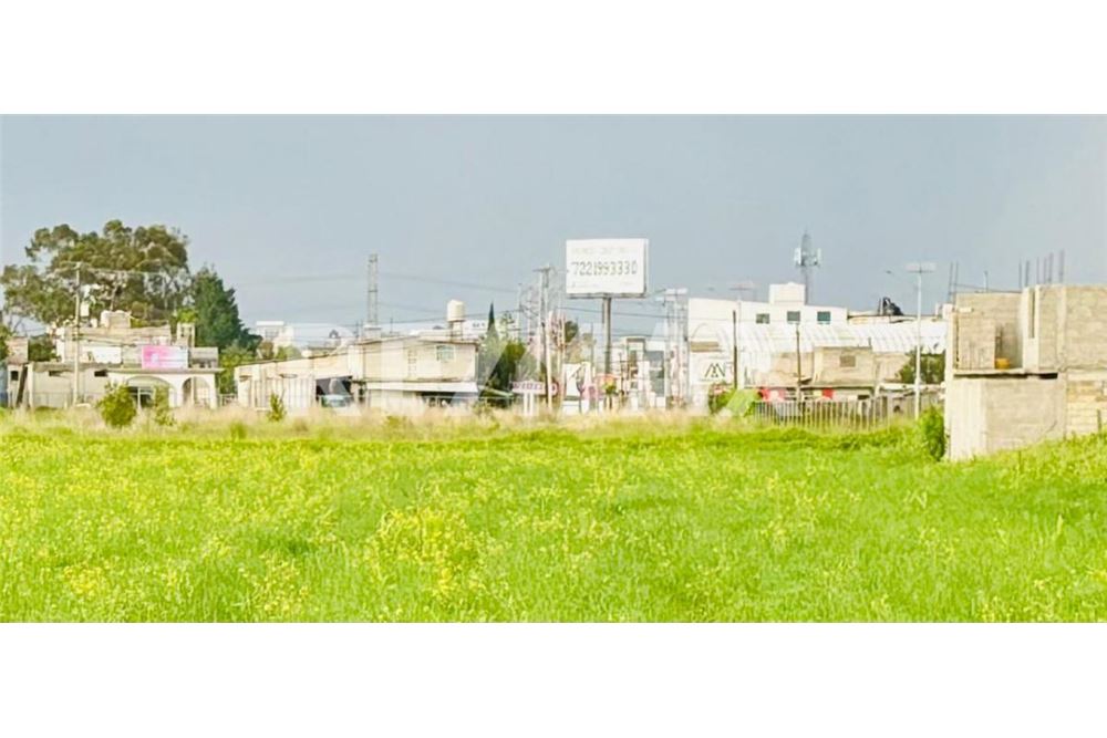 Residential - Plot of Land for Investment - Metepec, Mexico - Mexico - 1 - 1001021073-29
