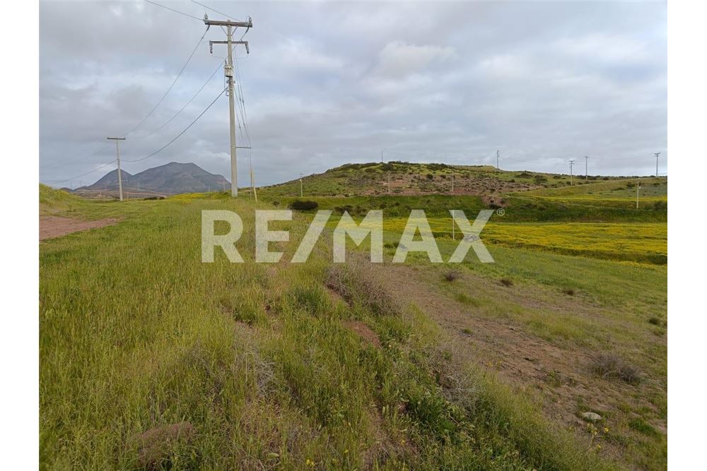 Residential - Plot of Land for Investment - Playas De Rosarito, Mexico - Mexico - 21 - 1001006243-60