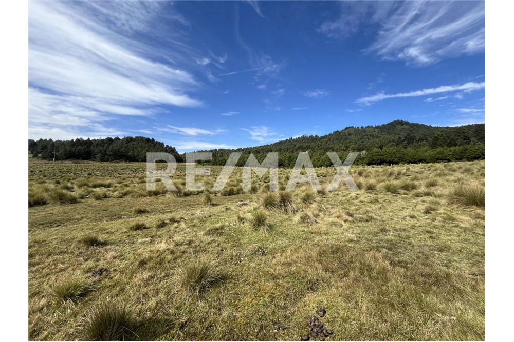 Residential - ਅਲਾਟਮੈਂਟ ਲਈ ਜ਼ਮੀਨ ਦਾ ਟੁਕਡ਼ਾ - Amanalco, Mexico - Mexico - 1 - 1001004100-44