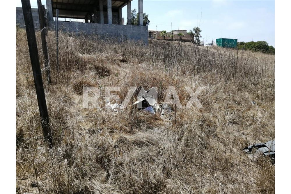 Residential - Plot of Land for Investment - Playas De Rosarito, Mexico - Mexico - 3 - 1001006250-25