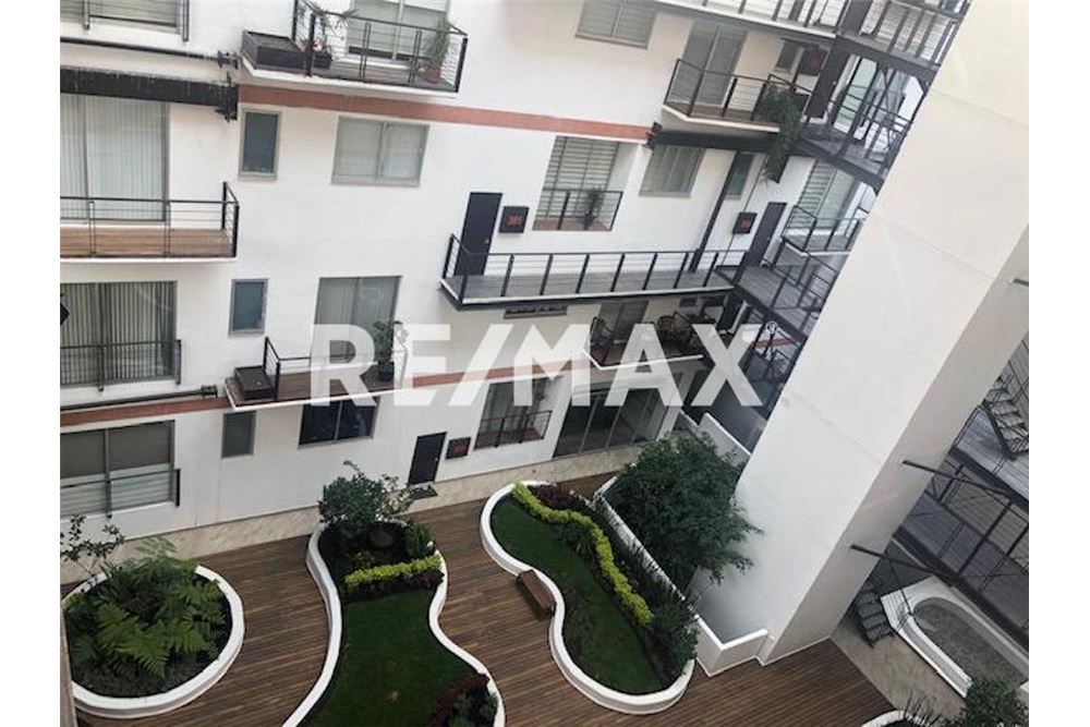 住宅 - 带屋顶的公寓 - Ciudad de México, 墨西哥 - Mexico - 21 - 1001028001-205