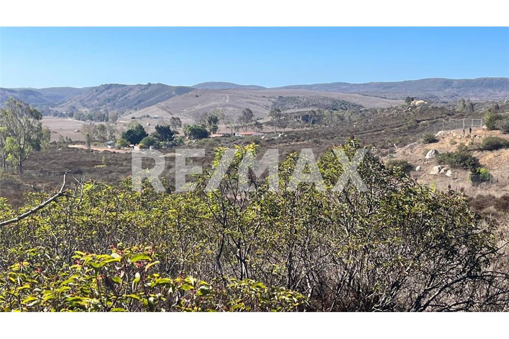 Residenziale - Parte di Terreno per Appezzamento - Ensenada, Messico - Mexico - 4 - 1001006182-102