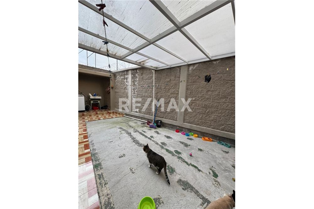 Residential - Condo/Apartment - Toluca, Mexico - Mexico - 7 - 1001021100-4