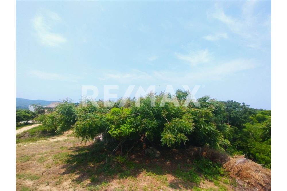 Residenziale - Parte di Terreno per Appezzamento - Puerto Escondido, Messico - Mexico - 8 - 1001245029-6