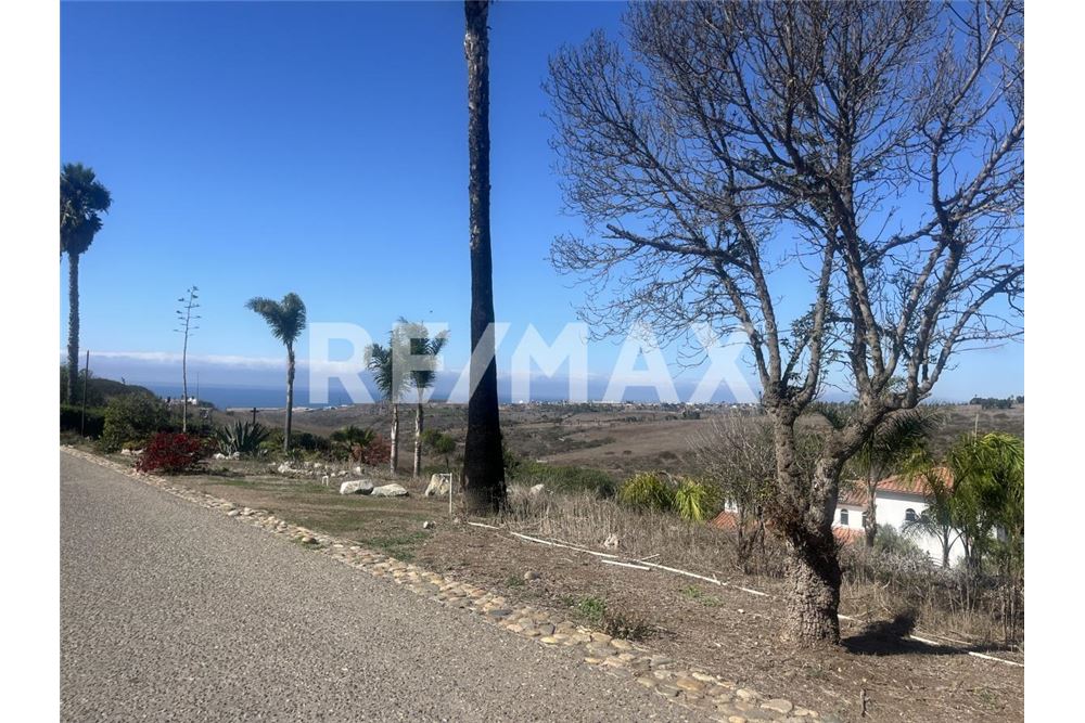 Residential - Plot of Land for Investment - Tijuana, Mexico - Mexico - 17 - 1001006253-34