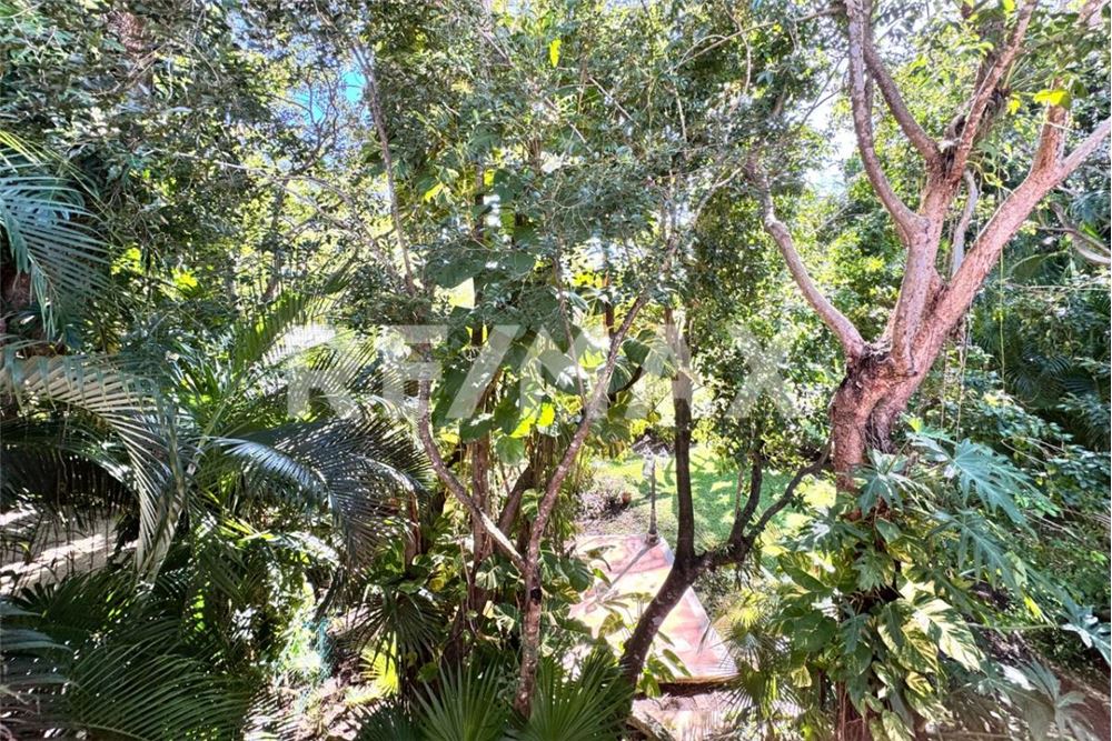 Residential - House - Puerto Aventuras, Mexico - Mexico - 41 - 1001040046-1