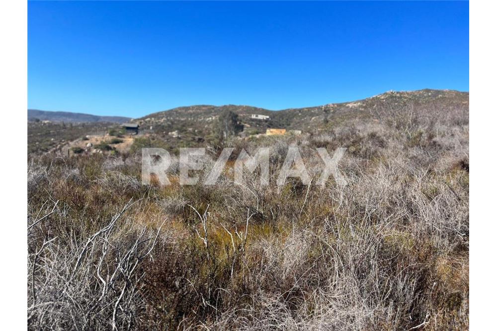 Residenziale - Parte di Terreno per Appezzamento - Ensenada, Messico - Mexico - 17 - 1001006182-102