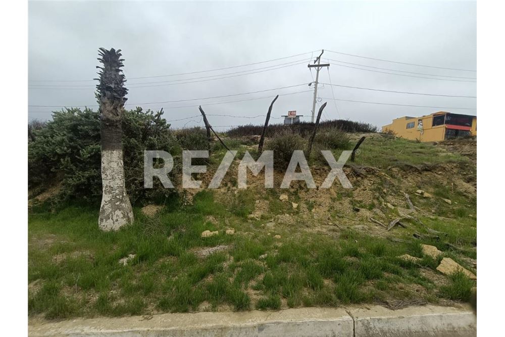 Residential - Plot of Land for Investment - Playas De Rosarito, Mexico - Mexico - 5 - 1001006243-59