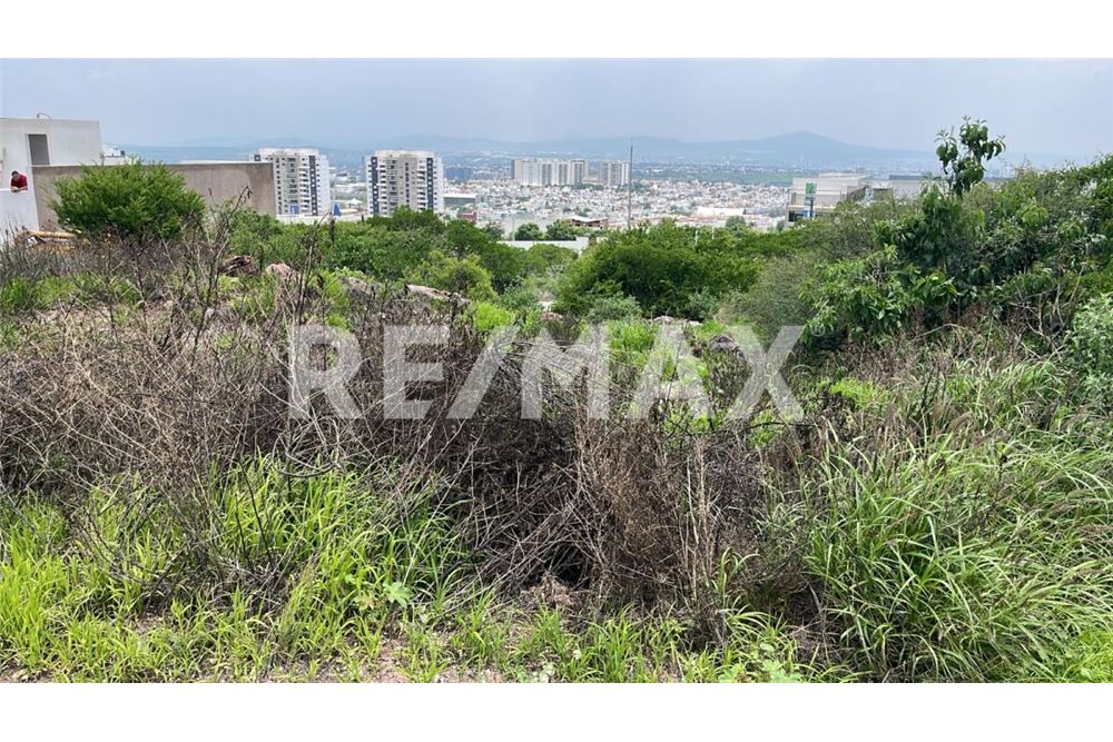 住宅 - 投资用地 - Querétaro, 墨西哥 - Mexico - 11 - 1001065096-396