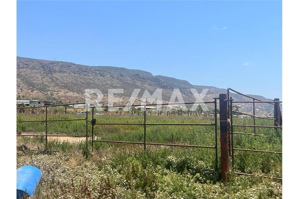 Commercieel - Grond - Playas De Rosarito, Mexiko - Mexico - 17 - 1001006182-85
