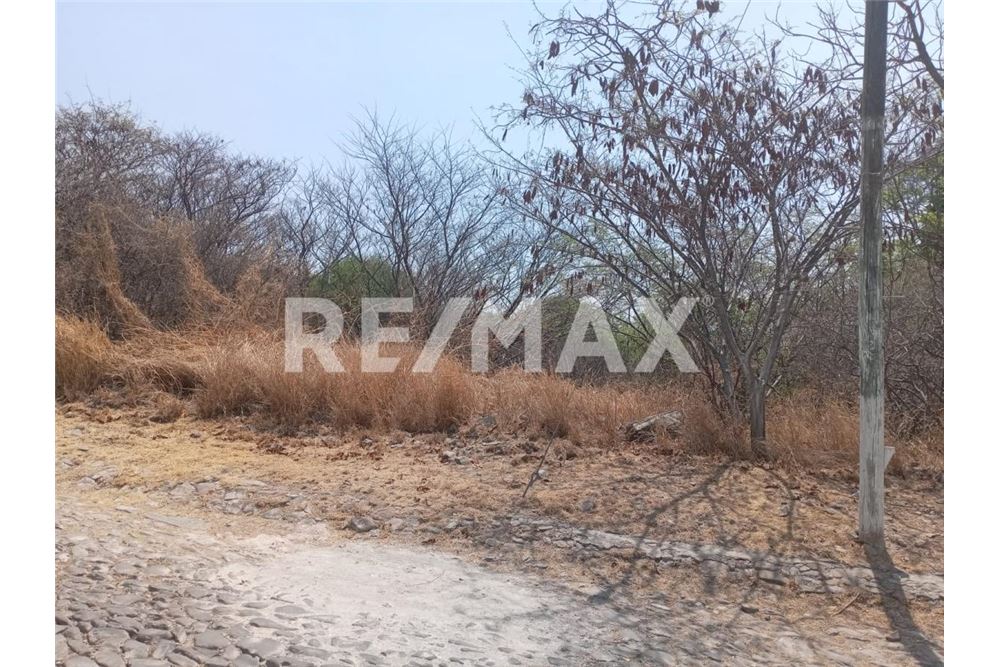 Residential - Plot of Land for Investment - Querétaro, Mexico - Mexico - 8 - 1001065263-7