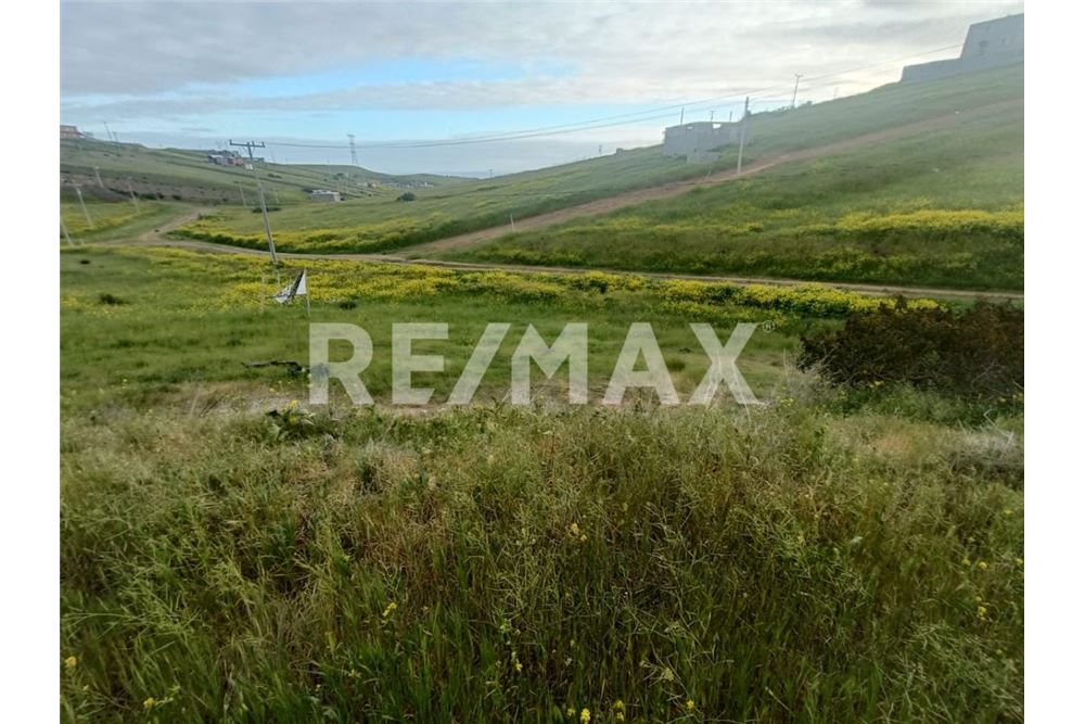 Residential - Plot of Land for Investment - Playas De Rosarito, Mexico - Mexico - 1 - 1001006243-60