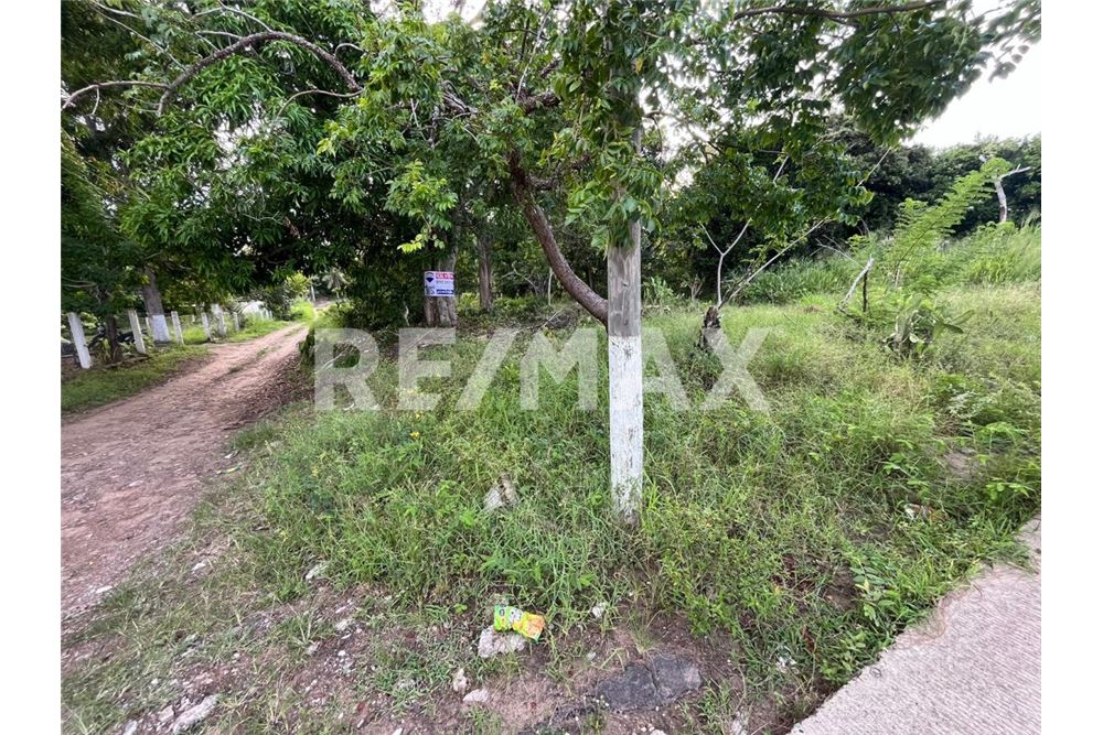 lakó - parcellázásra szánt terület - Tampico Alto, Mexikó - Mexico - 5 - 1001080171-3