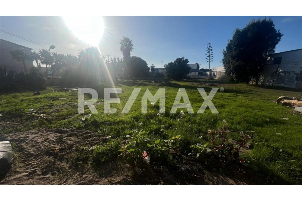 Comercial - Terrenos - Playas De Rosarito, México - Mexico - 3 - 1001006182-101
