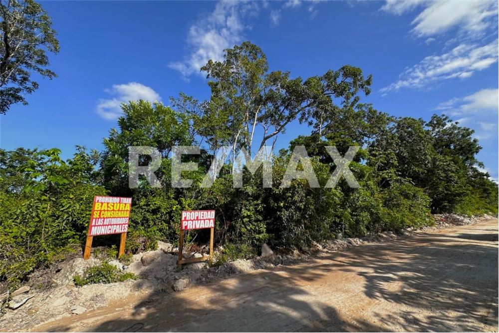 商业 - 土地 - Cancún, 墨西哥 - Mexico - 14 - 1001068002-64