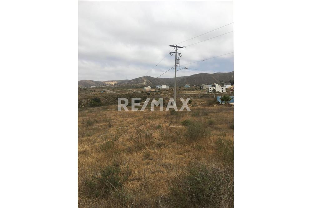 Wohnung - Grundstück für Freizeit - Playas De Rosarito, Mexiko - Mexico - 18 - 1001006289-10