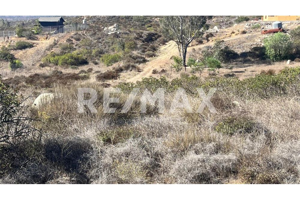 Residenziale - Parte di Terreno per Appezzamento - Ensenada, Messico - Mexico - 6 - 1001006182-102