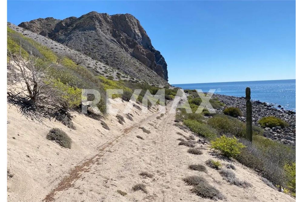 Commercial - Land - San Ignacio, Mexico - Mexico - 11 - 1001006001-797