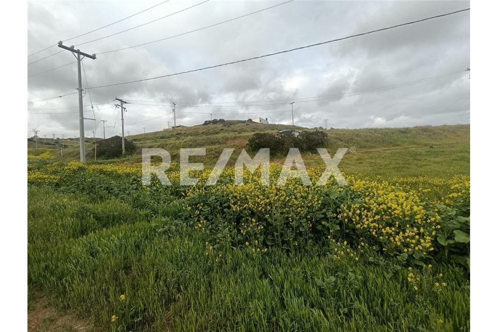 Residential - Plot of Land for Investment - Playas De Rosarito, Mexico - Mexico - 8 - 1001006243-60