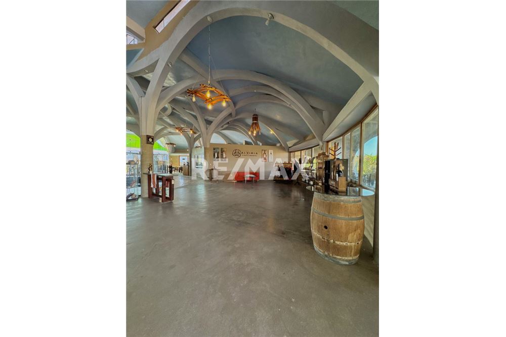 Commercial - Land - Ensenada, Mexico - Mexico - 14 - 1001006001-770