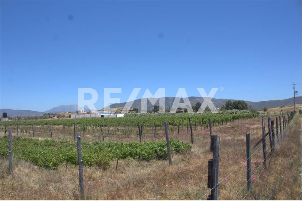 Residential - Земельный участок для сдачи в аренду - Ensenada, Мексика - Mexico - 2 - 1001262001-65