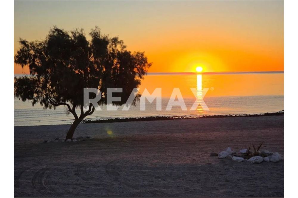 상업용 - 대지 - Ensenada, 멕시코 - Mexico - 9 - 1001006001-795