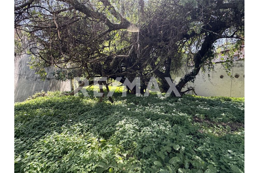 Wohnung - Grundstück für Freizeit - Huixquilucan, Mexiko - Mexico - 2 - 1001105001-1060