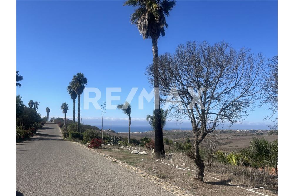 Residential - Plot of Land for Investment - Tijuana, Mexico - Mexico - 4 - 1001006253-34