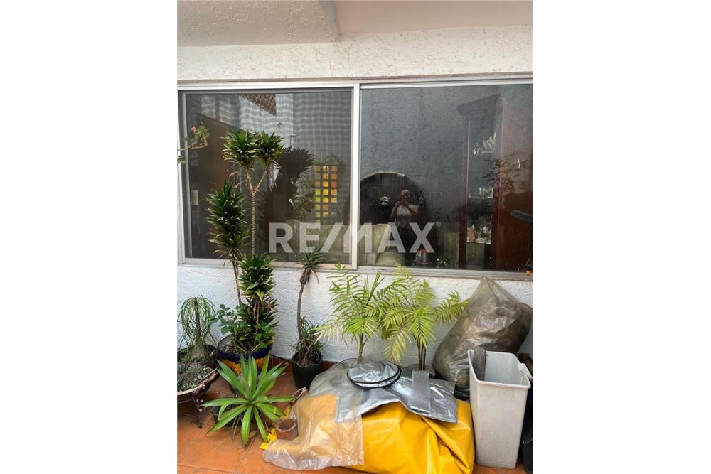 Residential - House - Ciudad de México, Mexico - Mexico - 24 - 1001172001-131