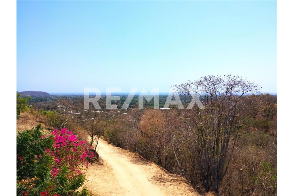 Residenziale - Parte di Terreno per Appezzamento - Puerto Escondido, Messico - Mexico - 5 - 1001245029-6
