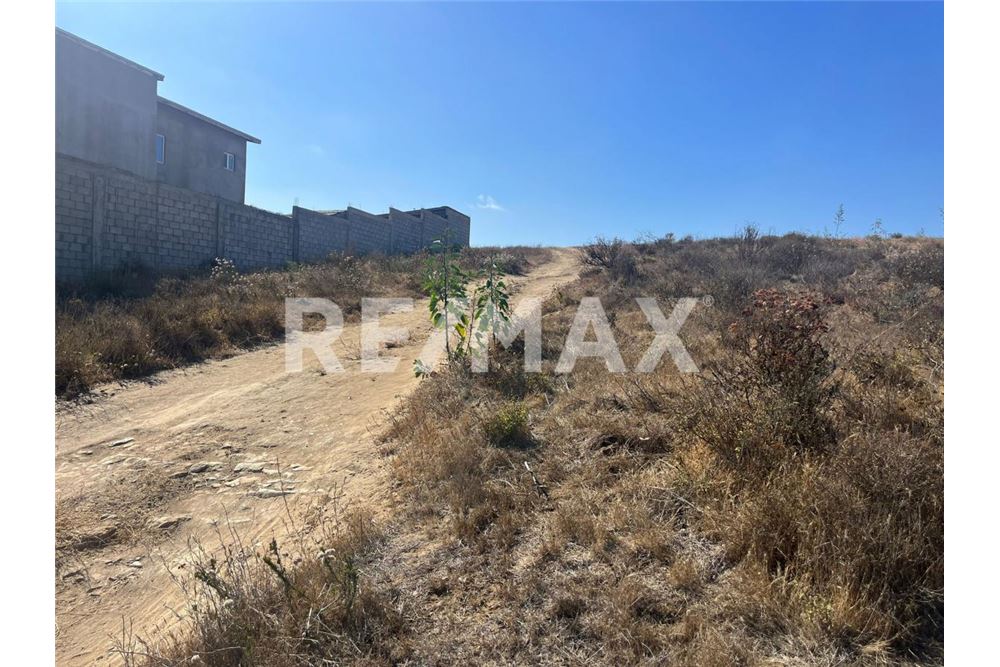 Prédio Habitacional - Plot of Land for Allotment - Playas De Rosarito, México - Mexico - 8 - 1001006182-87