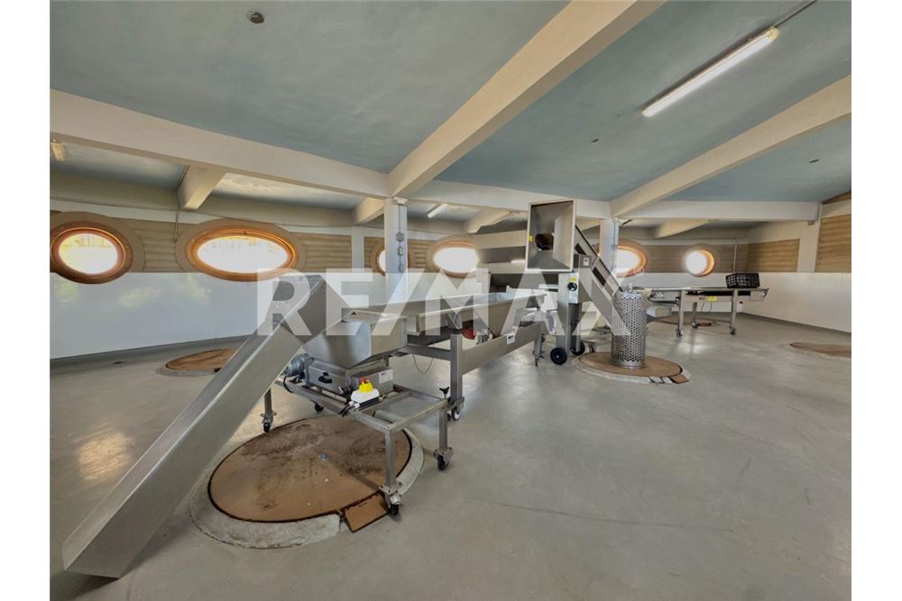 Commercial - Land - Ensenada, Mexico - Mexico - 20 - 1001006001-770