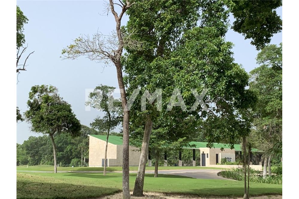 Residential - Plot of Land for Investment - Tulum, Mexico - Mexico - 8 - 1001040022-180