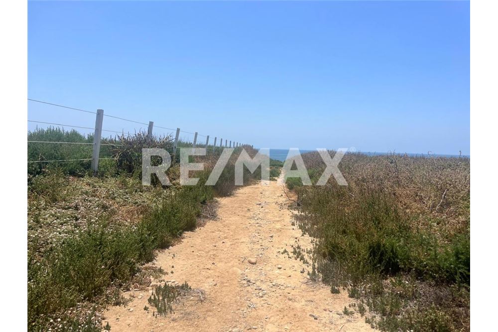 Commercieel - Grond - Playas De Rosarito, Mexiko - Mexico - 10 - 1001006182-85