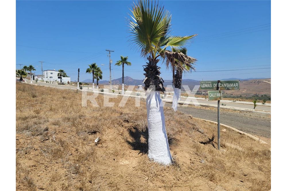 Wohnung - Grundstück für Freizeit - Playas De Rosarito, Mexiko - Mexico - 10 - 1001006061-104